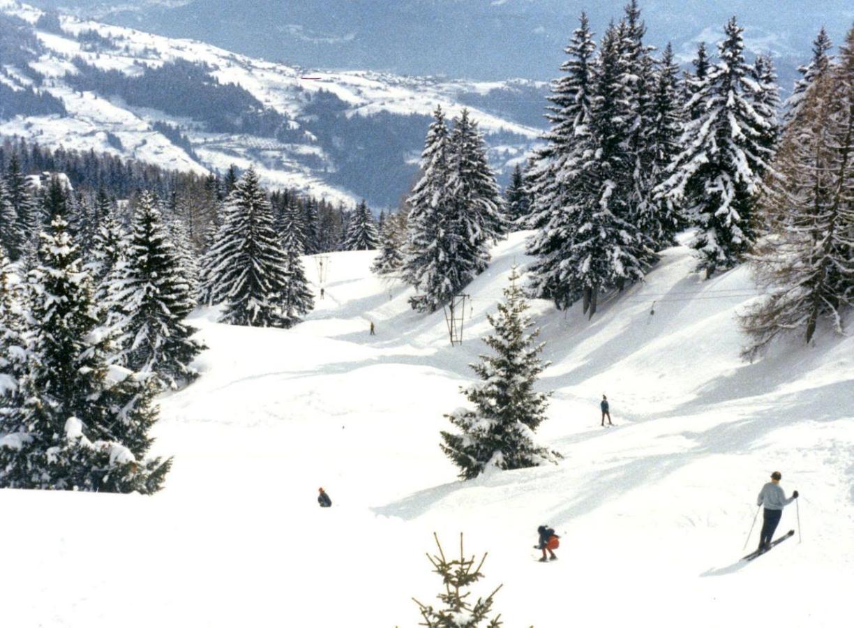Woodland Village Anzere Ayent Εξωτερικό φωτογραφία